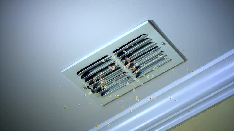 Best Commercial HVAC Duct Cleaning  in Carolina Forest, SC